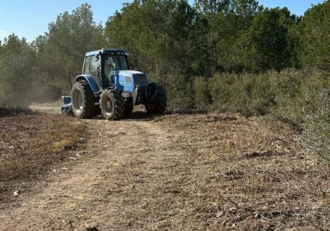 Treballs de millora de camins